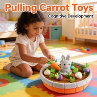 Stuffed Pulling Carrot 24 Toys Pairing Fishing Edu Cognitive Early Number plush