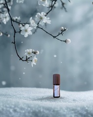 梅花香水油  讓心歸零的淨心冷香 | 梅事最好 隨行香 5ML