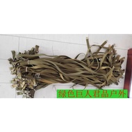 Russian Small Belt Russian Belt Russian Breeches Belt Russian Belt