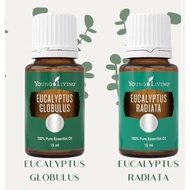 Eucalyptus Essential Oil