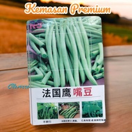 (KEMASAN PREMIUM) BIJI/BENIH BUNCIS TEGAK/BUNCIS BABY BEAN