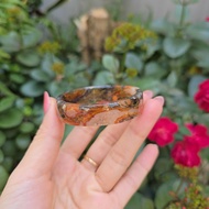 Q2263 Ni 50.5 F Ice Ngoc Thuy Algae ring, square version 12.8mm high, 4.3mm thick, not picky about d