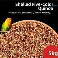 Jiaxun | Mixed Seeds Parrot Food