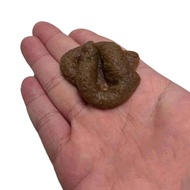 Fake Poop Prank Toy Novelty Gift Gag Game Realistic Q4s1