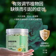 Ferrous Sulfate Ferrous Sulfate Soil Green Plant Fertilizer Flower Acid Prevention Yellow Leaf Iron 