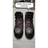 Lowa Mid GTX Hiking Shoes