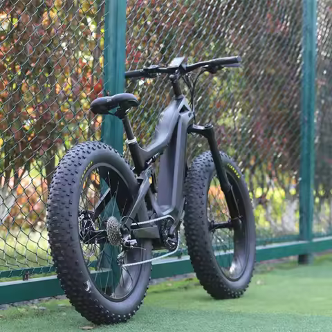 Carbon Fiber T700 Frame 1000W Electric Ebike ultra M620 Mid Motor Mountain Ebike