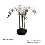 高檔仿真蝴蝶蘭花室內客廳前臺擺件 裝飾擺設 假花藝盆栽輕奢