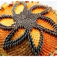 Biji Benih Benih Baru Mongolian Giant Sunflower Seeds Pack Of 10  Bunga Matahari