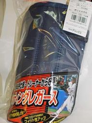 貳拾肆棒球-日本帶回Rawlings製作日職棒青木宣親式樣職業用護具打擊護腳/日製/深藍