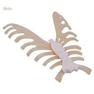 Dudu 1 1 Human Skeleton Anatomical Model Human Skeleton Model Human Sternum Model Teaching Aid for S