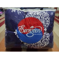 TOTO SINGLE EVERGREEN COTTON