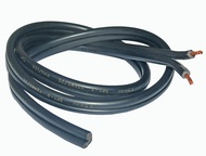 Flatcord Wire #12 AWG 12 Philflex 1 meter