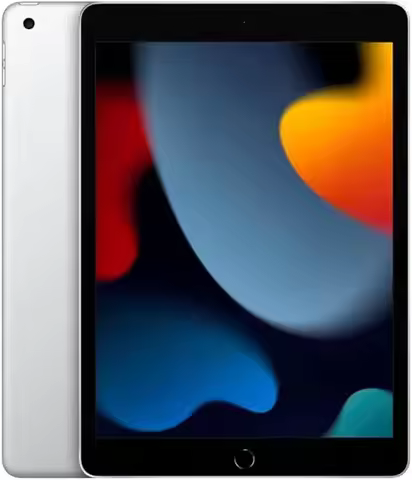 Apple iPad 9th Gen 256GB Wi-Fi + Cellular | Silver | Fair Condition | Refurbished