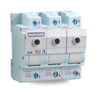 Maxguard 32A~63A 3Pole Switch Fuse(Main Switch)