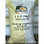[ HOT ITEM ]  🔥 🔥 Durian Emas Baja Khas Untuk Pokok Durian