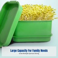 Bean Sprouting Jar, Large Capacity Planting Tray, Balcony Vegetable Pot, Crisp Sprout Container