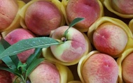 【預購！最優質的水蜜桃 10入(2斤)】產季只有一個月 讓人垂涎欲滴的拉拉山水蜜桃！