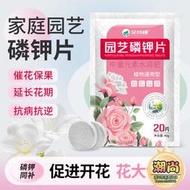 【樂樂屋】艾尚棵 園藝磷鉀片 磷酸二氫鉀促花花肥料月季蘭花葉面肥