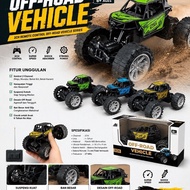 RC Offroad Mini