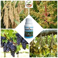 [ORIGINAL] Booster 76 Flowering and Fruiting Hormones
