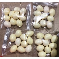 Chicken egg and duck egg toys