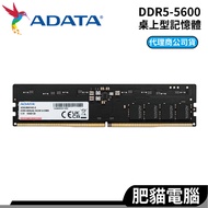 ADATA DDR5 5600 4800 16GB 32GB CL46 RAM Desktop Memory