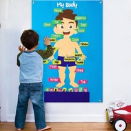 My Body Interactive Educational Poster Body Parts Learning Felt Body Board Preschool Human Parts Tea