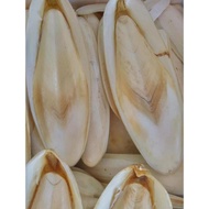 Mai mực nang mực 1kg