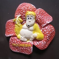 Fridge magnet Souvenirs By The Country Of Indonesia