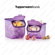 🔥ON DEMAND🔥 Tupperware Garlic N All Purple  2.3L / 3.0L / 5.5L Bekas Ungu Simpanan Bawang, Kentang, tomato [67]