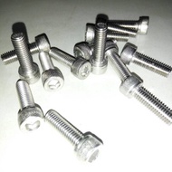 Bolt L M6 x 20 (2cm) stainless 304 THE A2-70 M6 Bolt