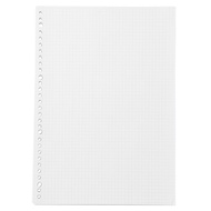 Set of 200 Japanese A4 5mm 30 HOLE PERFECT PAPER SHEETS