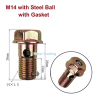 【sought-after】 5pcs Unit Pump Return Valve Screw Eup M14 M12 Hollow Screw With Filter Equal Pressure
