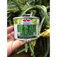 Spot Tin 50g Benih Timun Batang Cap Panah Merah F1 Hibrid  Jumbo Green F1 Hibrid  East West Seed