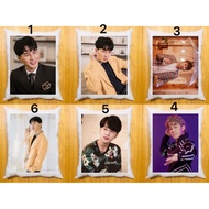 Jack j97 pillow 40x50cm long Korean cotton filling/Jack j97 pillow