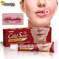 Cold Sores Lip Cheilitis Treatments Cream Herpes Antibacterials Ointment Chapped Lips Wrinkles Rehyd