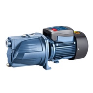 Dongcheng Self-priming Pump Jet Pump High-raising High-rise Pressurized Pump High Suction Electric W