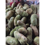 Cempedak Kampung  Fresh Sekilo Rm9