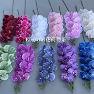 Phalaenopsis Simulation Flower Silk Flower Living Room Decoration Flower Plastic Flower Decoration T