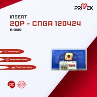 Cnga INSERT 120424 Bxm10