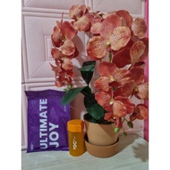 C2Joy Colever's New Expert List Colostrum Milk