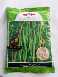 Benih buncis LOGAWA 500gram ORIGINAL PABRIK