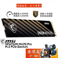 MSI SPATIUM M470 PRO M.2 PCIe 4.0 SSD [1T, 2T] Solid State Drive/Original Price House