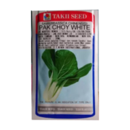 Benih Bibit Pakchoy PAK CHOY WHITE