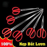 Eel Catcher, Snake Catcher, Seafood Catcher