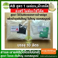 ปุ๋ยไฮโดรโปนิกส์ สูตร 1 สารละลายAB ปุ๋ยAB ไฮโดรโปนิกส์ ชนิดแห้ง(ผง) นำไปผสมน้ำเอง ใช้กับผักสลัดได้ ส