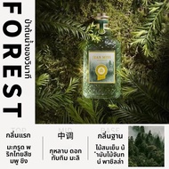 JEAN MISS | น้ำหอมส้มเลือดและโหระพา ใช้ได้นานสำหรับทุกเพศ