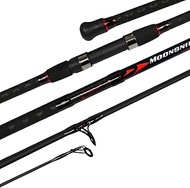 Fiblink Surf Spinning Fishing Rod 2-Piece Graphite Travel Fishing Rod(12-Feet & 10-Feet)