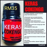KERANG COKENG ORI HQ
